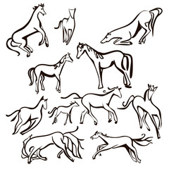 Vector group of pets - Horse isolated on white background., Pet Icon Image, horse Icon, Vector pet for your design.