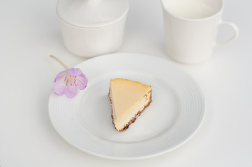 Cheesecake still life