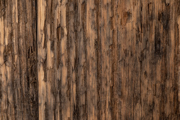 Obraz premium Tonneau