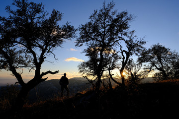silhouette of a male hiker among trees on a ridge