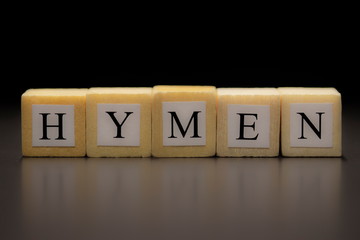 The word HYMEN written on wooden cubes, isolated on a black background...