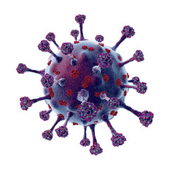 Corona Virus
