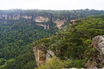 Nature photography from Blue Mountains, Australia