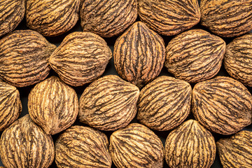 black walnuts abstract