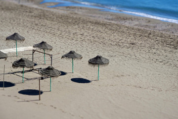 A group of palm tree fiber covered parasols standing in the brown sand at the beach in front of the sea