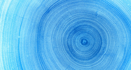 Monotone blue cut wood texture. Detailed flat background of a felled tree trunk or stump. Rough organic tree rings with close up of end grain.