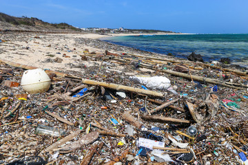 Ecological disaster on the beaches of the Asian continent