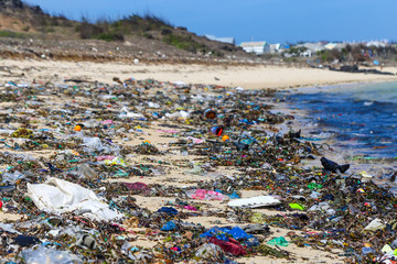 Problems of processing recyclable materials and plastic on the coast of the Asian continent