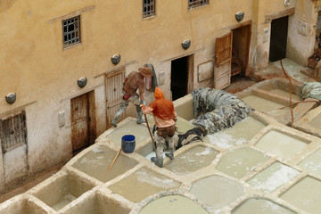 Worker tanning animal hides in the white liquids of the tanneries in the medina of Fes el Bali,...
