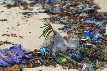 Live green plants among plastic trash on the beach