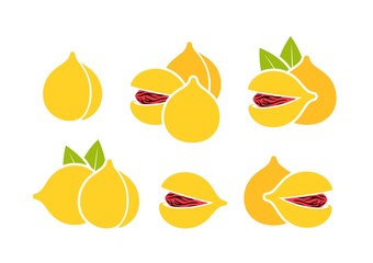 Nutmeg logo. Isolated nutmeg on white background