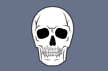 Vector Isolated Illustration of a Skull 