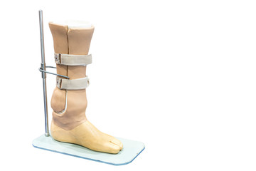 below knee prosthesis leg or elbow knee for disabled for walk on stand isolated on white background...
