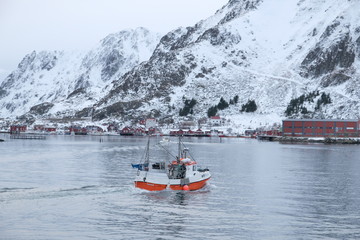 Fishing ship is coming back from the ocean to a bay. Traditional cod fish season lasts during winter period. Located in beautiful lofoten islands archipelago. Fish industry behind the arctic circle. 