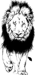 lion drawn with ink from the hands of a predator tattoo logo 