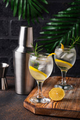 Gin tonic cocktail with lemon