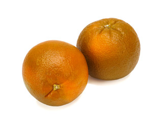 Fresh extra sweet Chocolate oranges, close-up on white background