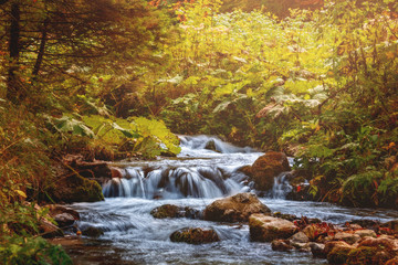 Stream with waterfall during autumn