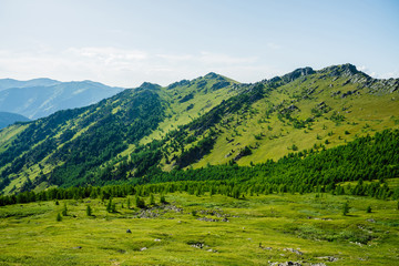 Scenic alpine landscape with green mountainside with conifer forest and big crags. Vivid green mountain scenery with coniferous trees and big rocks on hillside. Big stones and trees on steep slopes.