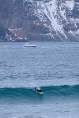 Obraz premium Surfing in cold ocean in Lofoten islands. Famous destination for surfers all around the world. Surfing between snowy mountains and arctic beaches. Surfers riding the waves in Norway. 
