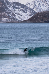 Obraz premium Surfing in cold ocean in Lofoten islands. Famous destination for surfers all around the world. Surfing between snowy mountains and arctic beaches. Surfers riding the waves in Norway. 