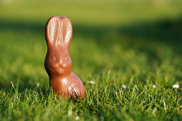 easter, sweets and confectionery concept - chocolate bunny on grass with blurred background, easter bunny