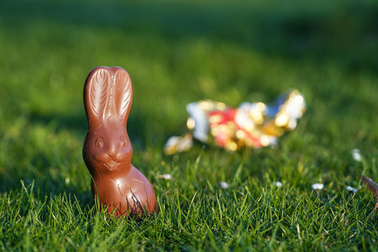 easter, sweets and confectionery concept - chocolate bunny on grass with blurred aluminum packaging, foil in the background, easter bunny