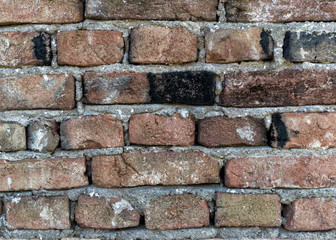 Obraz premium texture background brick wall