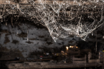 Horror cobweb  spider web   in   old basement isolated 