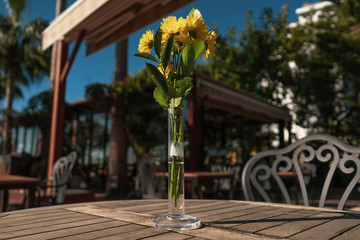 Vase mit gelben Blumen.