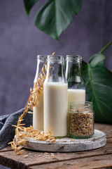 Lactose free nondairy buckwheat milk