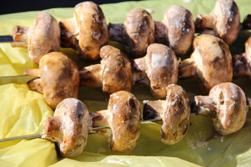 Mushrooms marinated on skewers in the forest.