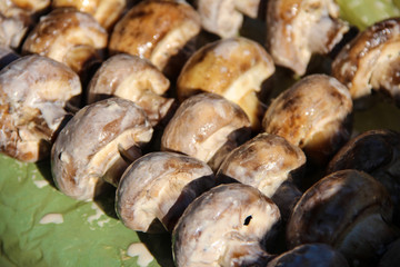 Mushrooms marinated on skewers in the forest.