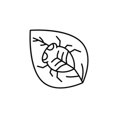 Insect, beetle icon. Simple line, outline vector elements of spring icons for ui and ux, website or mobile application