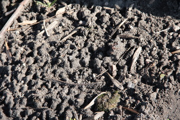 Relief texture of the stone. Gray stone.