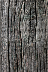 gray old wooden board