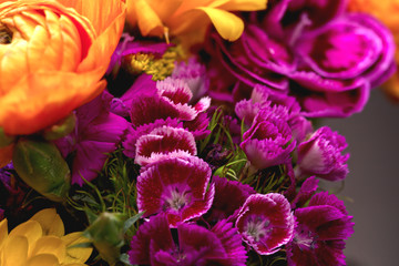 Sweet William flower