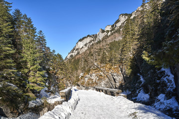 Wooden bridge on Koscieliski stream, Koscieliska Valley, Tatra Mountains, Poland