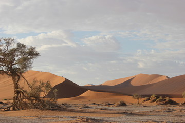 Fototapeta na wymiar desert, Nambia