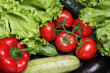 Green lettuce, red ripe tomatoes on a branch, fresh cucumbers and red bell peppers paprika. Vegetables on a black textured background.