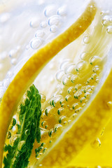 Citrus fruit. Fresh lemon and lime slice with mint leaves in cold water with bubbles. Clean eating, weight loss, healthy lifestyle concept.