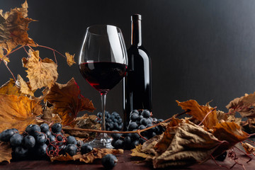Bottle and glass of red wine on a table with dried vine leaves and blue grapes. © Igor Normann
