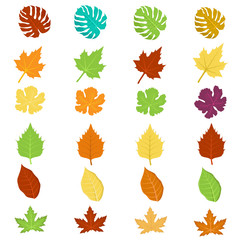leaf vector colorful premium vector