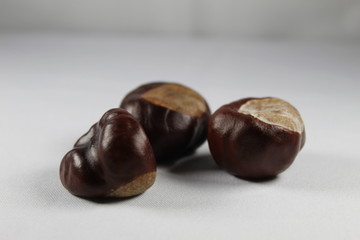 chestnuts isolated on white background