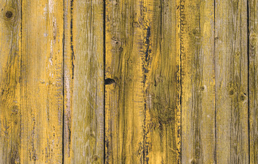 Cracked green old paint. Old wooden background