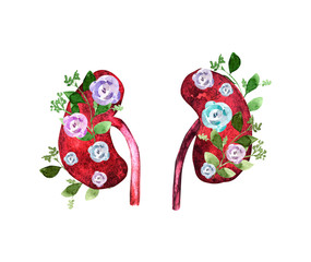 Kidney human renal realistic front view illustration isolated on white background with roses and leaves. World kidney day card, watercolor illustration , cute cartoon couple of kidneys.
