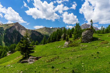 Fototapeta na wymiar Mountain landscape on a sunny day. Val Rosalia , Dolomites, Italy.