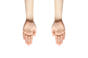 Hands on a white background. Female hands. Palms
