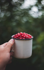 mug of berries in hand