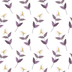Yellow small wild campanula flower, hand painted watercolor illustration, seamless pattern design on white background